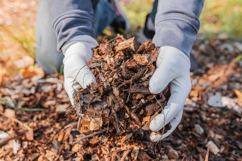Garden Mulch Installation in Honolulu, HI