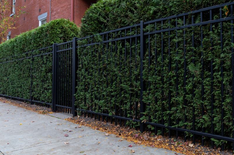 Privacy Hedge Planting in Ventura County, CA