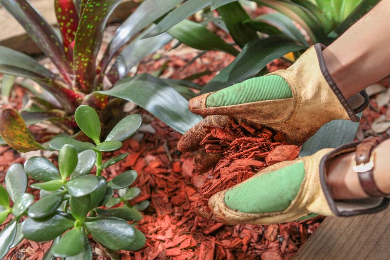 Residential Mulching in Ventura County, CA