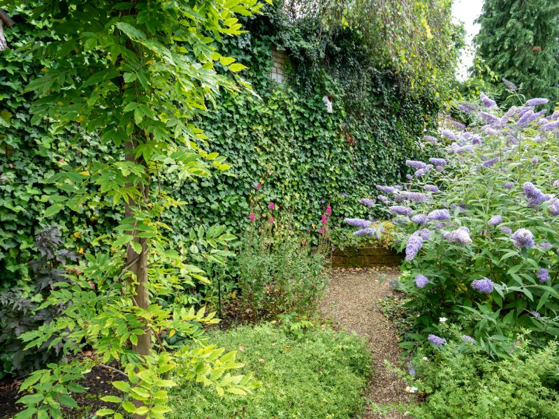 Xeriscape Landscaping in Ventura County, CA